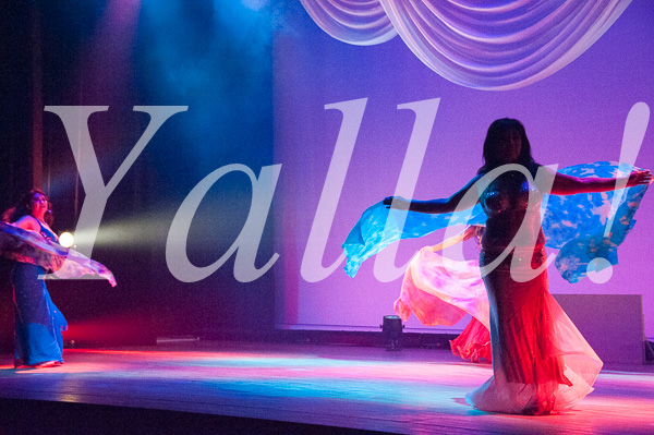 007-performancie-image-of-bellydance-for-farsha-live-stage