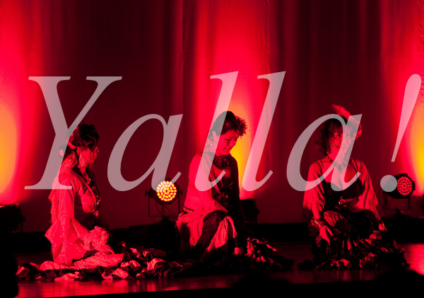 008-performancie-image-of-bellydance-for-yalla-3rd-live-stage