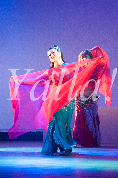 014-performancie-image-of-bellydance-for-farsha-live-stage