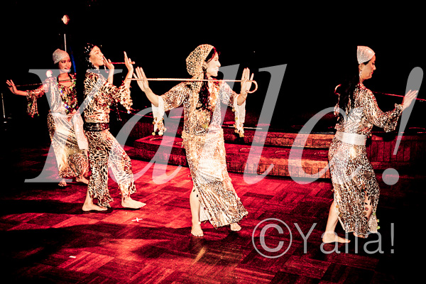 026-performancie-image-of-bellydance-for-yalla-7th-live-stage
