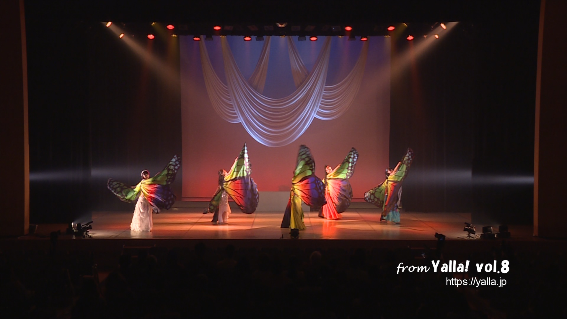 035-performancie-image-of-bellydance-for-yalla-8th-live-stage